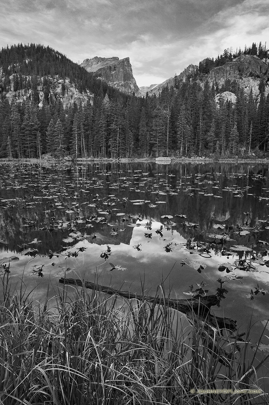 Nymph lake in Rocky Mountain National Park on a calm cool morning. - Colorado Picture