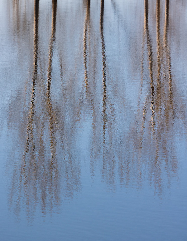 A landscape photograph of Cottonwoods reflected in the water at Shadow Lake, Nebraska - Nebraska Picture