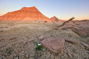 A Nebraska landscape photograph of Toadstool Geologic Park at sunrise. - Nebraska Photograph