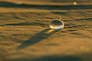 A nature photograph of a drop of rain on a lily pad at Shadow Lake, Nebraska. - Nebraska Photograph