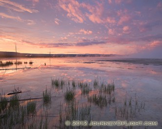 On a quiet evening in Yellowstone National Park I hiked out in the Middle Geyser area and witnessed the still water from the geysers reflected the fiery sunset in all directions. The sunset albeit brief in the scheme of the day seemed to last longer than usual as the oranges gave way to pinks and then purples. This was the image from near the end of the drama of sunset.