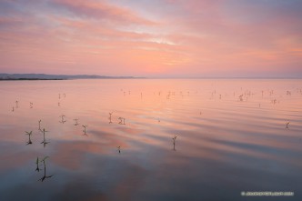 The North Marsh in Valentine National Wildlife Refuge slowly ripples with a gentle breeze from the east as the sun illuminates the distant clouds with a brilliant orange hue.