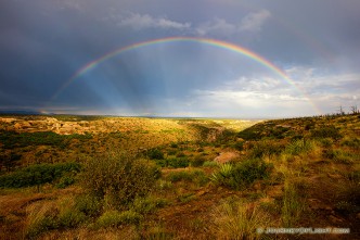 After an intense day of rain a beautiful rainbow appears over a canyon in the west area of Mesa Verde National Park.