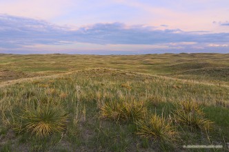 Somewhere in the Sandhills