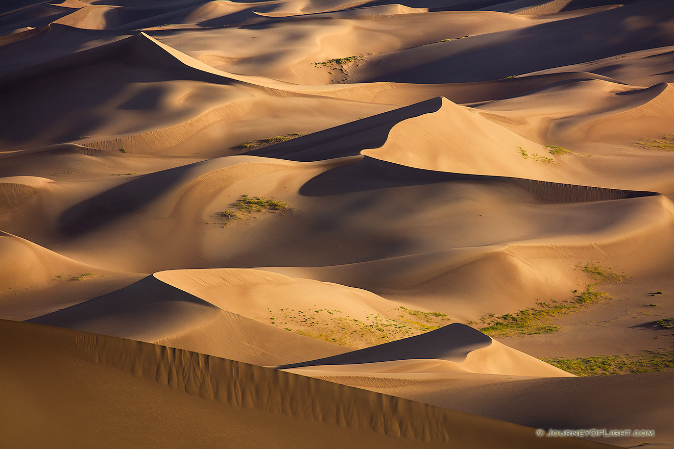 A collection of sand dunes glow in the morning sun at Great Sand Dunes National Park, Colorado.