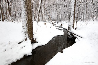 After a day of snowfall in eastern Nebraska, the OPPD Arboretum transforms into a bright winterscape.