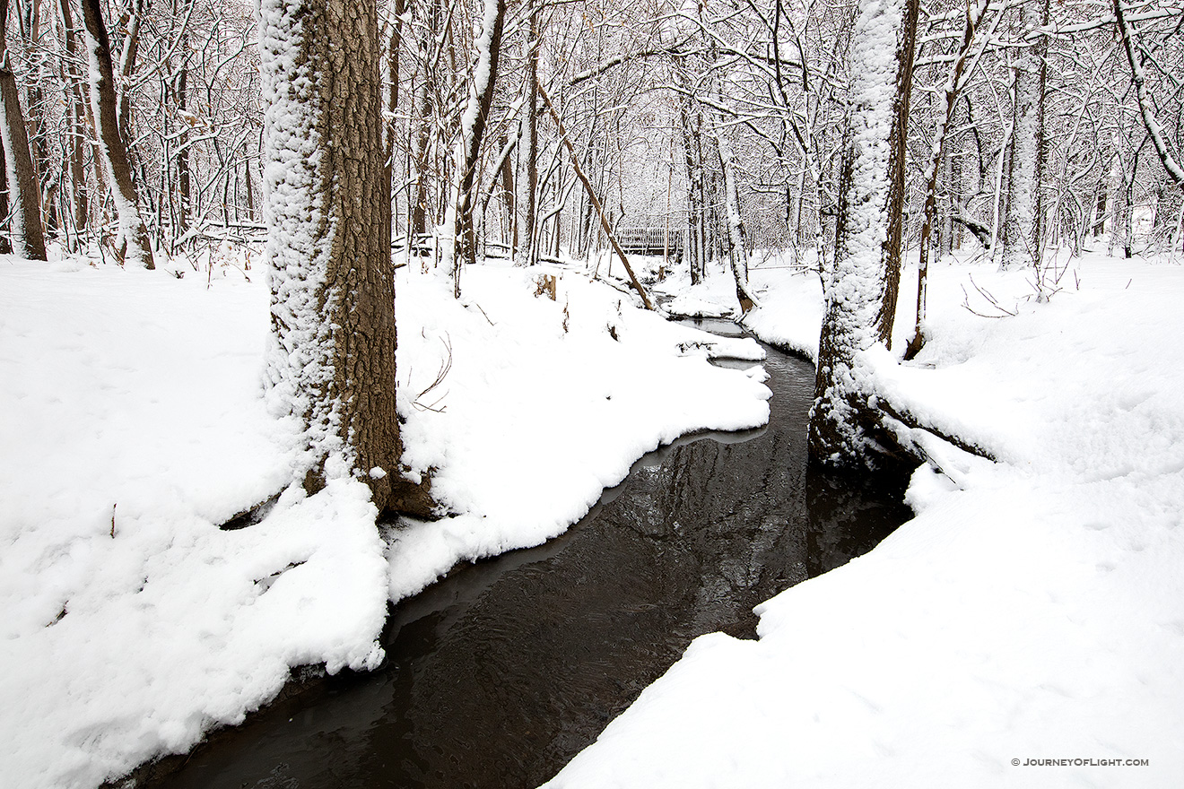 After a day of snowfall in eastern Nebraska, the OPPD Arboretum transforms into a bright winterscape.