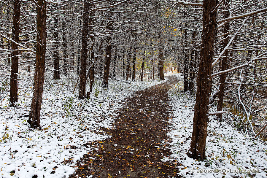An early October snowfall covers the trees at Schramm State Recreation Area in eastern Nebraska. - Schramm SRA Photography