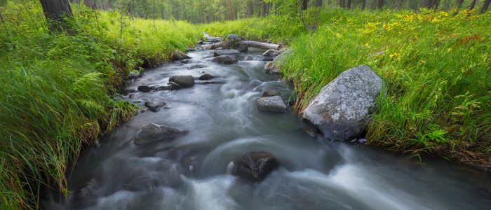 Black Hills Cascades