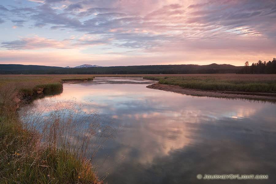 On a cool morning on the Gibbon River in Yellowstone National Park, the sun rises in the east illuminating the sky with pastel colors. - Yellowstone National Park Photography