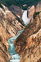 The Yellowstone River tumbles 308 feet into the Grand Canyon of the Yellowstone, the largest major waterfall by volume in the Rocky Mountains. - Wyoming Landscape Photograph