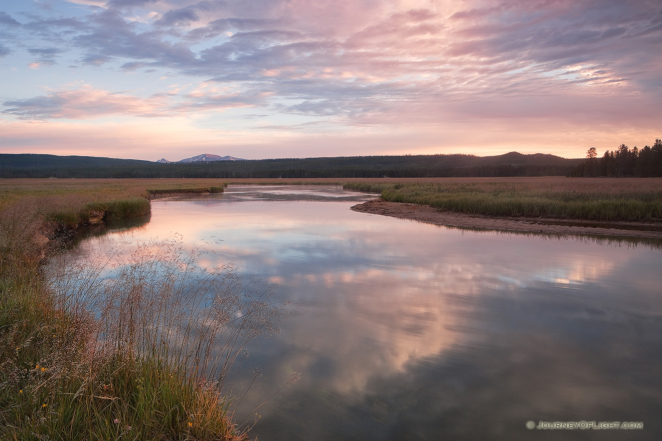On a cool morning on the Gibbon River in Yellowstone National Park, the sun rises in the east illuminating the sky with pastel colors. - Yellowstone National Park Picture