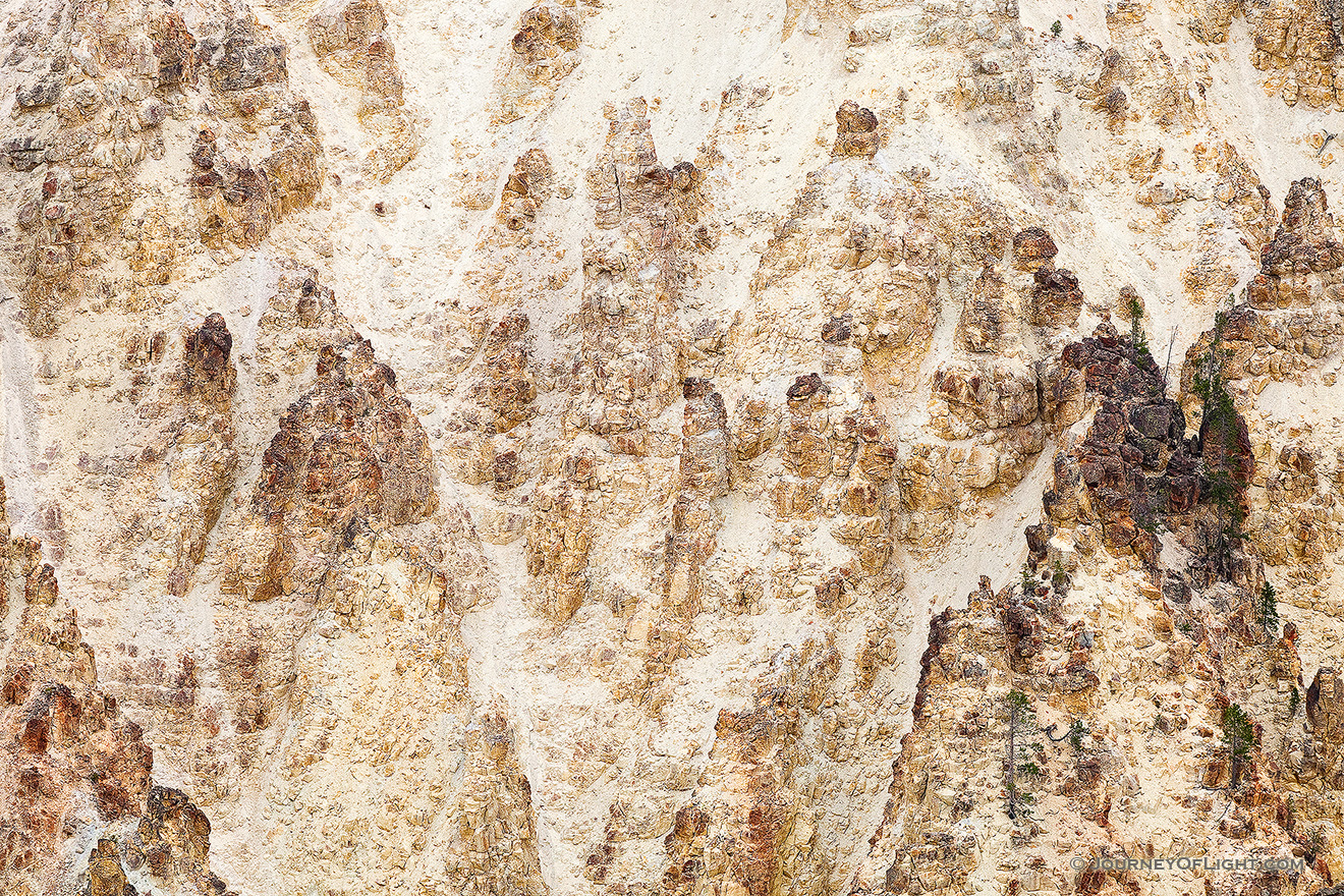 The canyon wall near the Lower Falls in the Grand Canyon of the Yellowstone rises almost 1,000 feet from the Yellowstone River. - Yellowstone National Park Picture