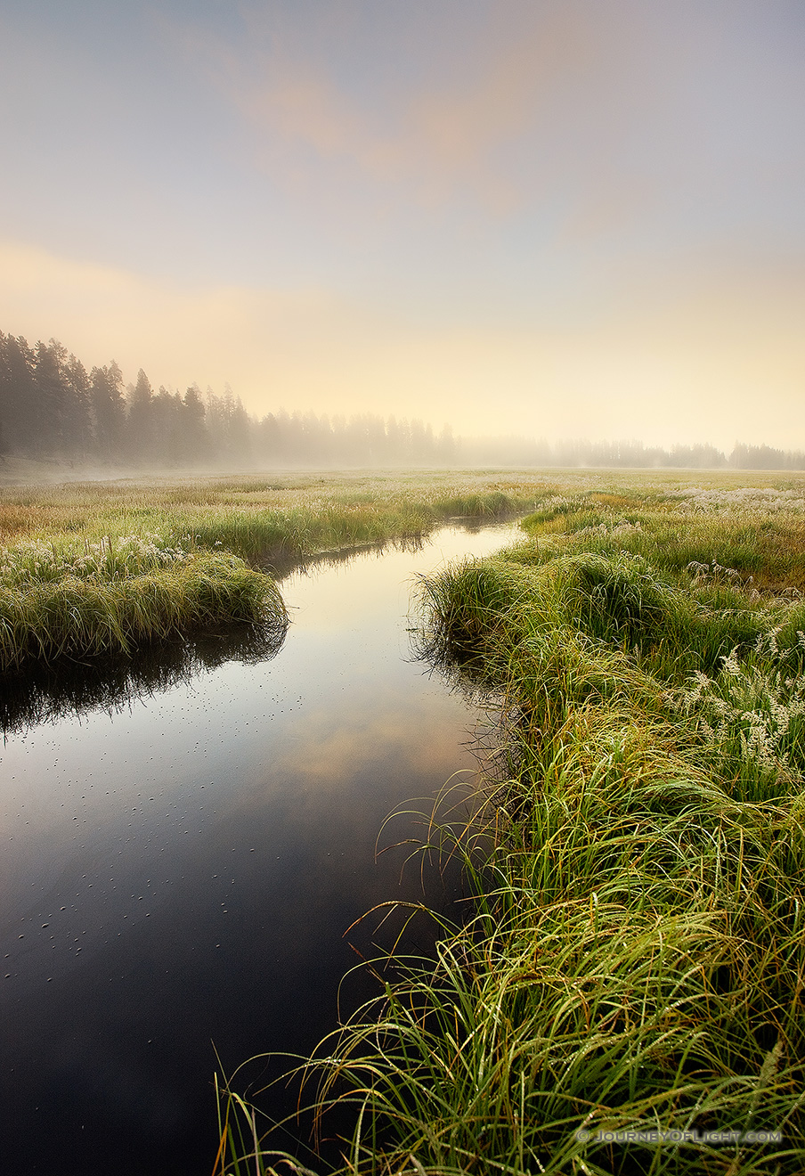 A stream quietly flows through a meadow as the last of the morning fog is burned off from the rising sun. - Yellowstone National Park Picture