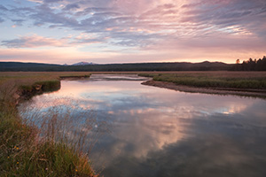 On a cool morning on the Gibbon River in Yellowstone National Park, the sun rises in the east illuminating the sky with pastel colors. - Wyoming Landscape Photograph