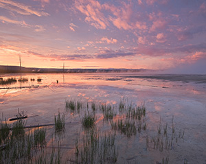 On a quiet evening in Yellowstone National Park I hiked out in the Middle Geyser area and witnessed the still water from the geysers reflected the fiery sunset in all directions.  The sunset albeit brief in the scheme of the day seemed to last longer than usual as the oranges gave way to pinks and then purples.  This was the image from near the end of the drama of sunset. - Wyoming Landscape Photograph