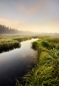 A stream quietly flows through a meadow as the last of the morning fog is burned off from the rising sun. - Wyoming Landscape Photograph