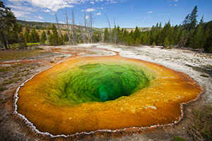 One of the most popular geysers in Yellowstone is the colorful Morning Glory Geyser in the Lower Geyser Basin. - Wyoming Landscape Photograph
