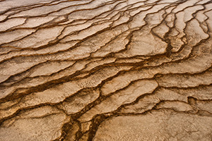 Various patterns are created and changed from the years activity of the geysers in the Middle Geyser basin. - Wyoming Landscape Photograph