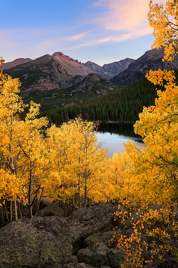 Scenic landscape photograph of an aspen grove above Bear Lake in Rocky Mountain National Park, Colorado. - Rocky Mountain NP Photography