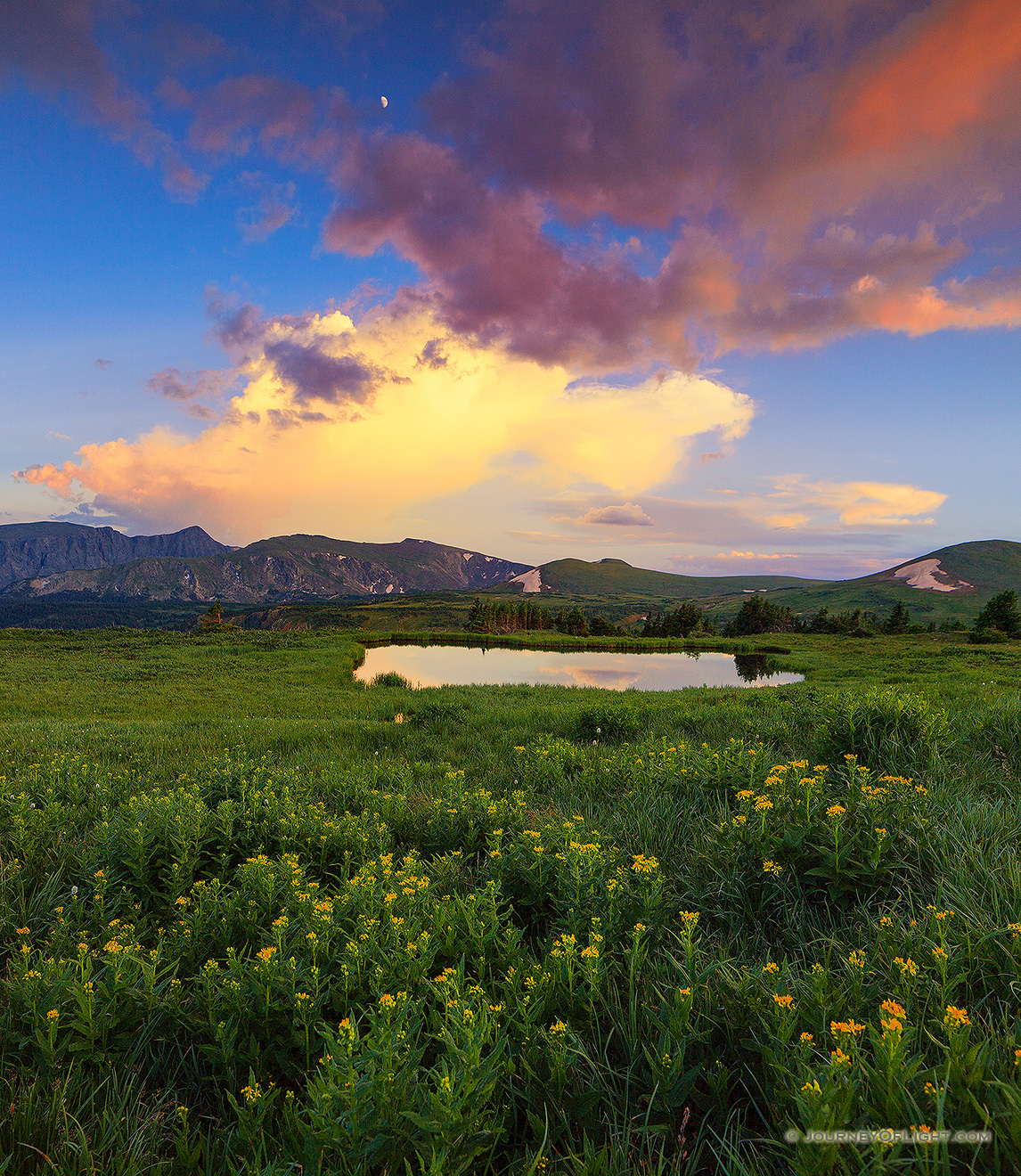 Thunder rumbles in the distance as a storm cloud moves over the mountains and wildflowers bloom near a tarn on the tundra in Rocky Mountain National Park. - Colorado Picture