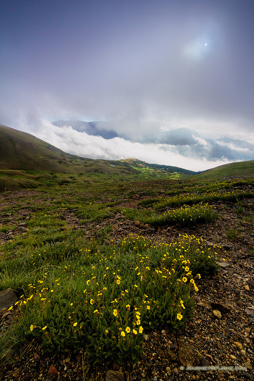 High upon the tundra of Rocky Mountain National Park, the fog briefly recedes revealing a verdant landscape with wildflowers and lakes that dot that landscape. - Colorado,Landscape Picture