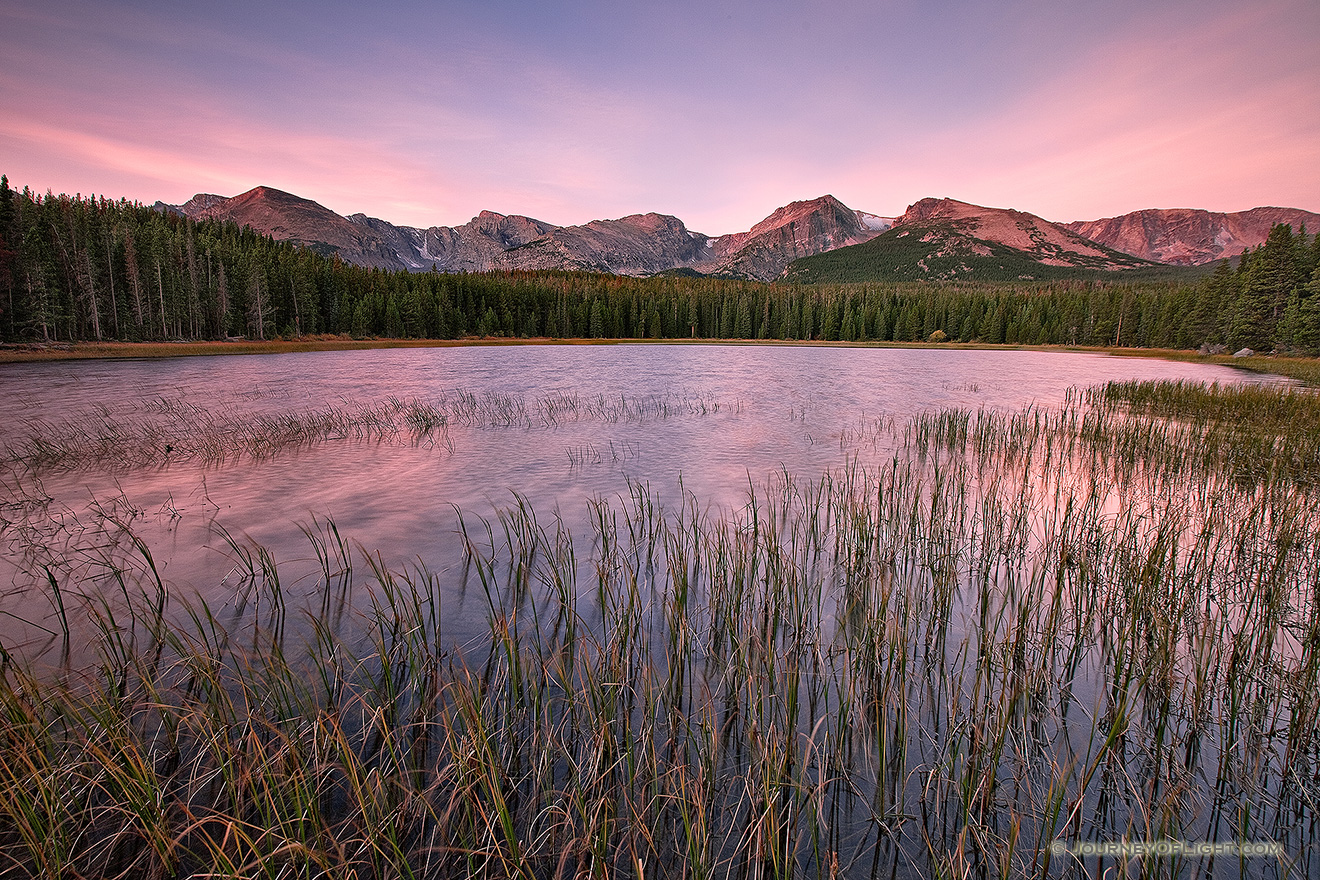 Reeds sway in the wind at Bierstadt lake as clouds gather over the mountains of the continental divide. - Rocky Mountain NP Picture