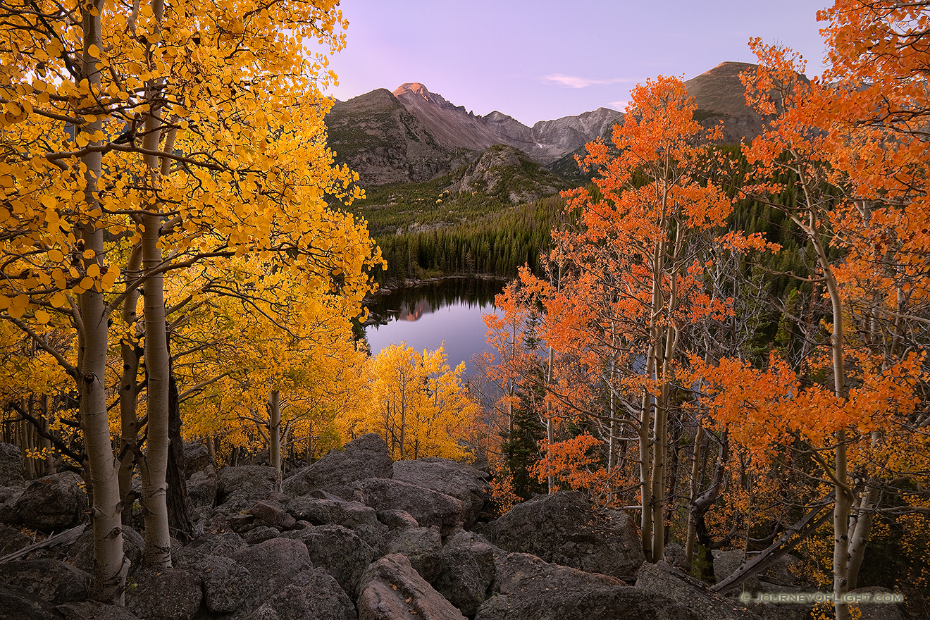 On a warm autumn day, from an aspen grove above Bear Lake, the morning sun graces Long's Peak with a reddish hue. - Rocky Mountain NP Picture