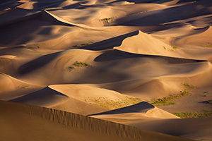 A collection of sand dunes glow in the morning sun at Great Sand Dunes National Park, Colorado. - Colorado Landscape Photograph