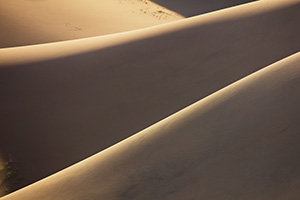 Details of sand dunes in the morning light at Great Sand Dunes National Park, Colorado. - Colorado Landscape Photograph