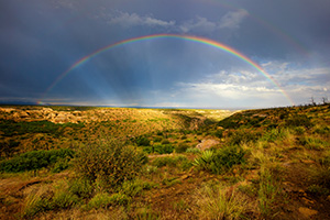 After an intense day of rain a beautiful rainbow appears over a canyon in the west area of Mesa Verde National Park. - Colorado Landscape Photograph