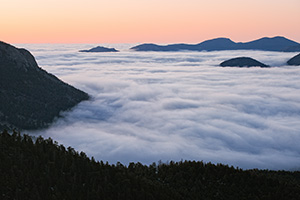 At Many Parks Curve, high in the park right before sunrise, fog rolls through Moraine Park in Rocky Mountain National Park, Colorado. - Colorado Photograph