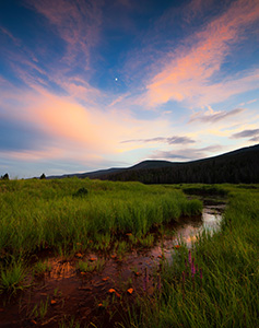 The Kawuneeche Valley is a marshy meadow area on the western side of Rocky Mountain National Park in Colorado. In the native Arapaho language Kawuneeche means �valley of the coyote� and indeed, many animals are found traveling through the valley. On this still July evening, there was a herd of elk that had quietly moved through and were eating on the trail. Not wanting to disturb them too much I kindly asked them to move as I slowly walked by. They obliged and I was on my way, as the last remnants of light illuminated the western edge of the clouds casting a dull glow across the meadow. - Colorado Photograph