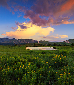 Thunder rumbles in the distance as a storm cloud moves over the mountains and wildflowers bloom near a tarn on the tundra in Rocky Mountain National Park. - Colorado Photograph