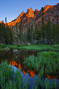 I've hiked several times to beautiful Emerald Lake in Rocky Mountain National Park.  On this excursion, I decided to go off the beaten path a bit and follow the stream that flows out of the lake.  I was rewarded with a beautiful sunrise on Flattop reflected in this verdant little marshy area. - Colorado Photograph