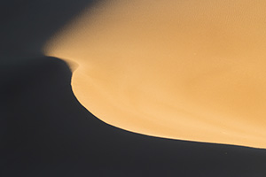 Morning sun streams across Great Sand Dune National Park and Preserve creating contrasts among the dunes. - Colorado Photograph