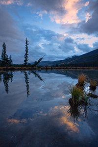 The beaver ponds in the Kawuneeche Valley on the western side of Rocky Mountain National Park in Colorado is a good place to view Moose and other wildlife. - Colorado Landscape Photograph