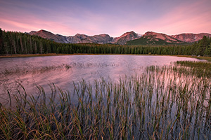 Reeds sway in the wind at Bierstadt lake as clouds gather over the mountains of the continental divide. - Colorado Photograph