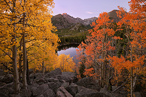 On a warm autumn day, from an aspen grove above Bear Lake, the morning sun graces Long's Peak with a reddish hue. - Colorado Landscape Photograph