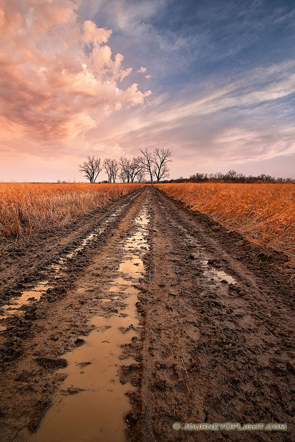 After an early spring rain, the prairie landscape is drenched creating puddles in a newly plowed road. - Boyer Chute Photography