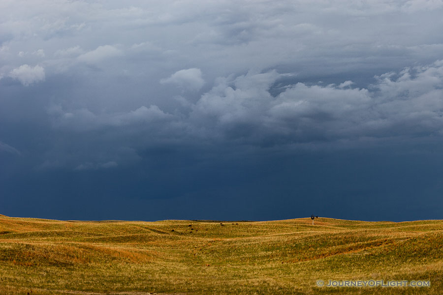 Dark clouds hover over the rolling sandhills in McKelvie National Forest. The darkness on the horizon all but extinguished the light of day on a previously sunny afternoon. I knew that beyond the dark clouds, however, the sky was still blue. - Sandhills Photography