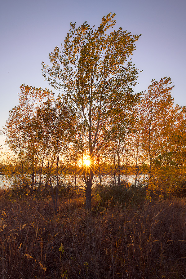 A scenic landscape photograph of a autumn trees on the prairie at Walnut Creek in eastern Nebraska. - Nebraska Photography