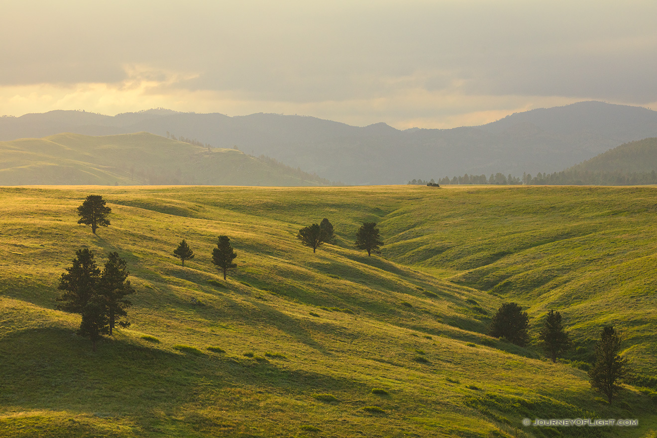 As an afternoon summer storm passes through the Black Hills of South Dakota, sunlight breaks through the clouds and streams light across the landscape. - South Dakota Picture