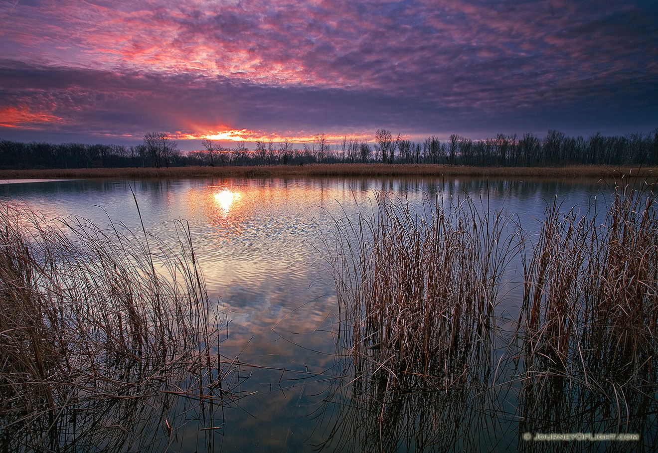 On a late fall morning, the sun rises slowly over DeSoto Lake at DeSoto National Wildlife Refuge. - DeSoto Picture