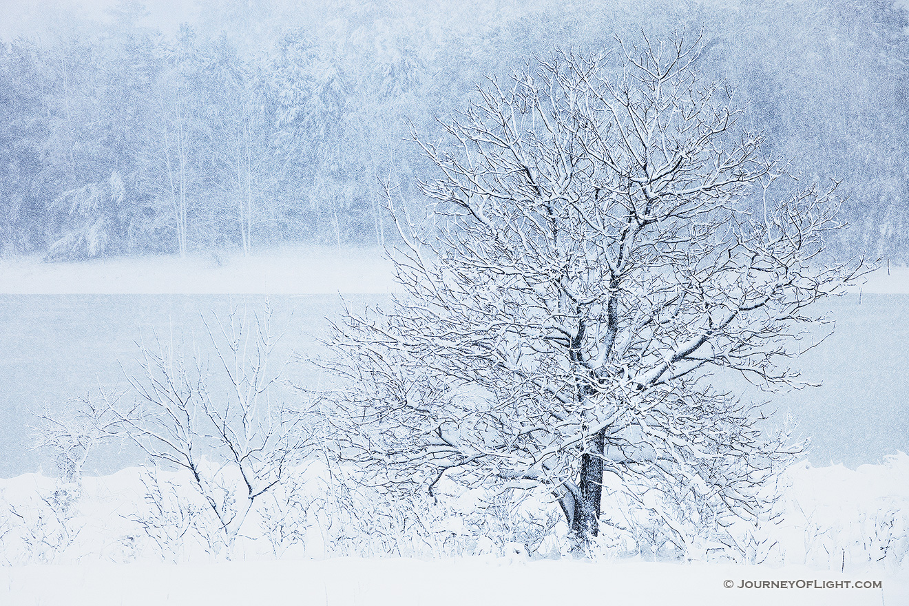 Snow falls on Wehrspann Lake at Chalco Hills Recreation Area on a cold February morning. - Nebraska Picture