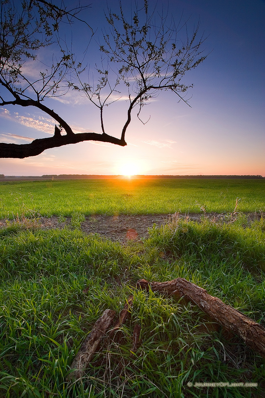 An early spring sunset descends upon DeSoto National Bend Wildlife Refuge. - DeSoto Picture