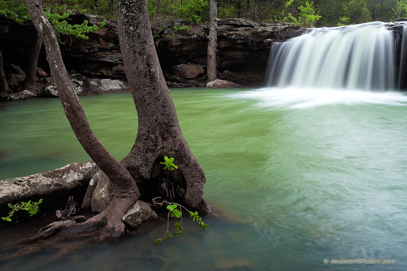 Water falls over Falling Water Falls just east of Pelsor (Sand Gap) Arkansas in the Ozark Mountains. - Arkansas Picture