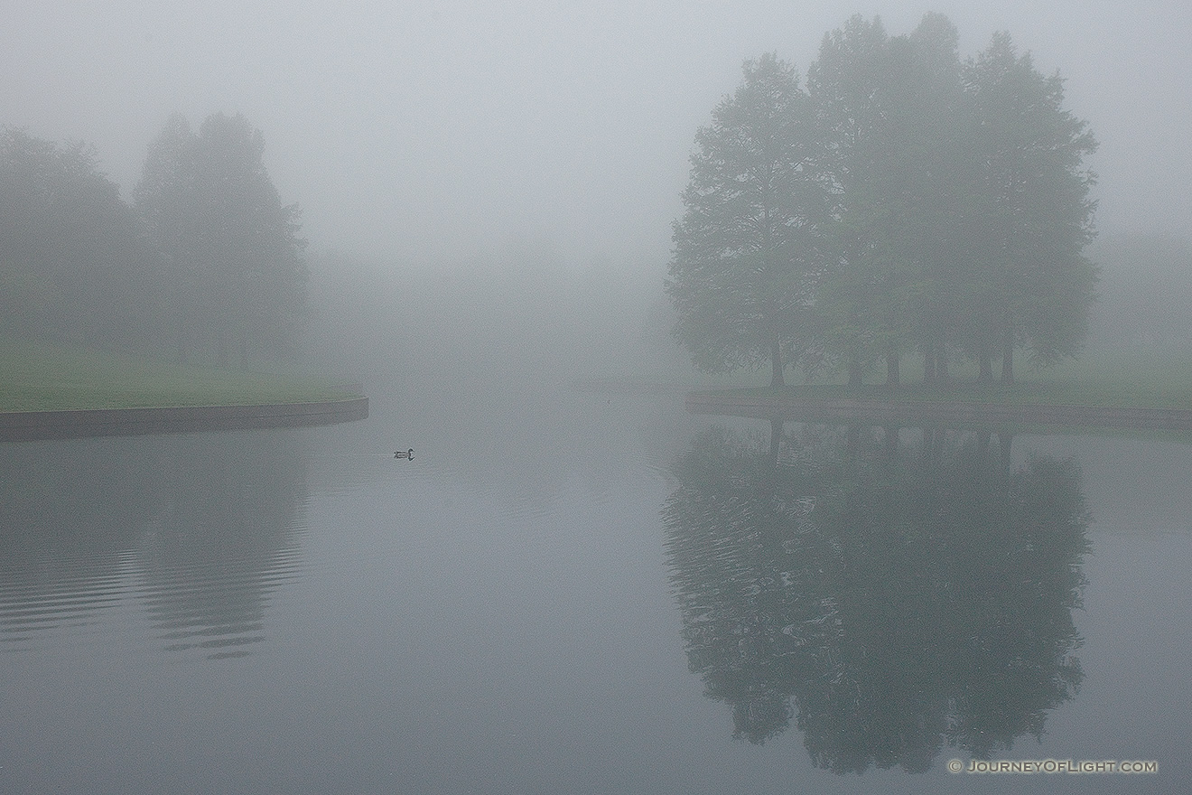 A quiet morning by a small pond near the Gateway Arch. - Jefferson National Expansion Memorial Picture