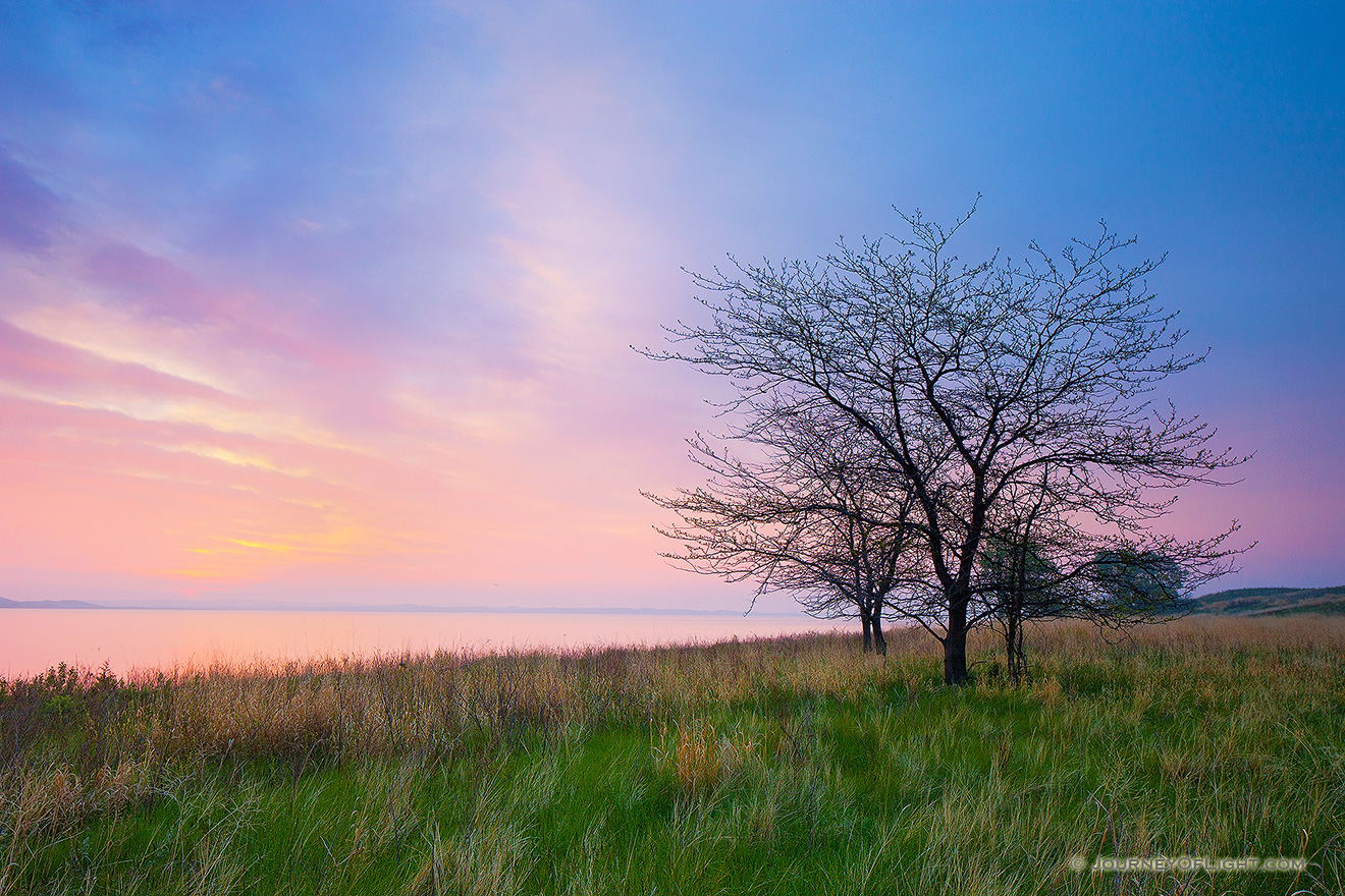 The spring rains often make the sandhill region of Nebraska a verdant green. It is one of my favorite times to become lost in the sea of grass in the central part of the state. On this beautiful morning I wandered out to North Marsh Lake in the Valentine National Wildlife Refuge and waited as the sun rose on the distant horizon illuminating the clouds in pastel pinks, oranges, and purples. - Valentine Picture