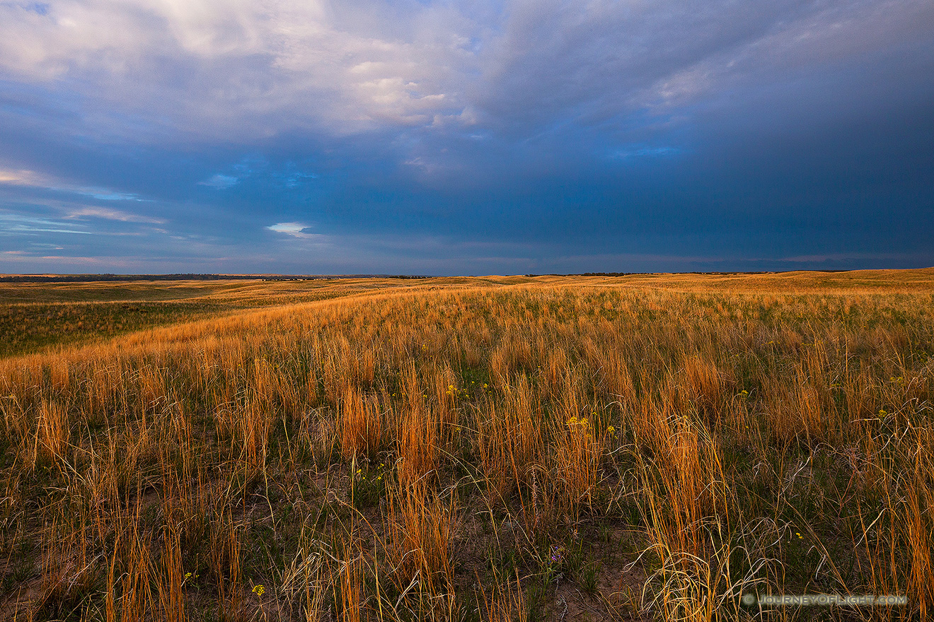 Dark clouds hover over the rolling sandhills in McKelvie National Forest as the last light of the setting sun illuminates the prairie grasses. - Sandhills Picture